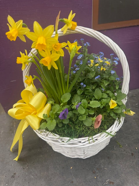 Spring Basket