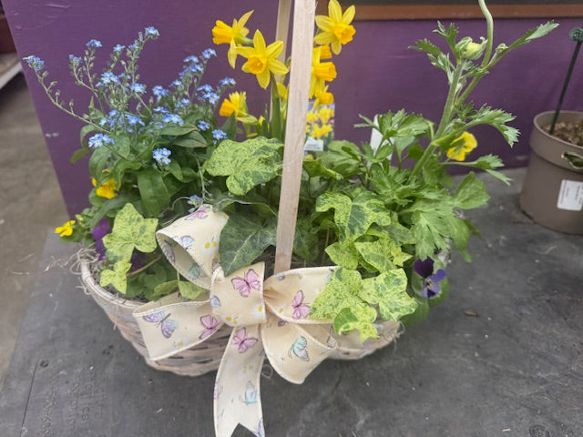 Spring Basket