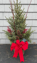 Holiday Spruce Tip Porch Pot Workshop November 29, 2025 10AM