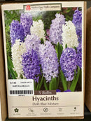 Assorted Fall Bulbs