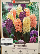 Assorted Fall Bulbs