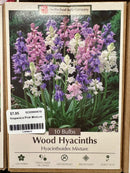 Assorted Fall Bulbs