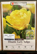Assorted Fall Bulbs