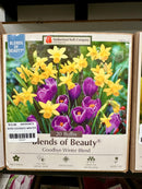 Assorted Fall Bulbs