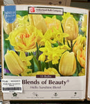 Assorted Fall Bulbs