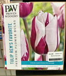 Assorted Fall Bulbs