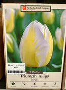 Assorted Fall Bulbs