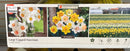 Assorted Fall Bulbs