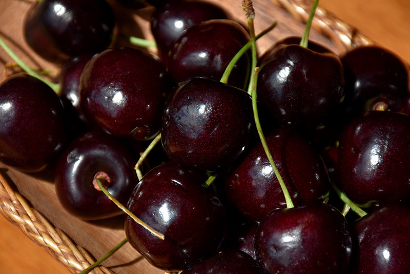 Black Tartarian Cherry Tree