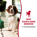 Natures Miracle Pet Stain & Odor Remover