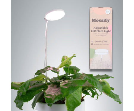 White LED Plant Light