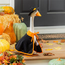 Giddy the Goose Outfit, Witch