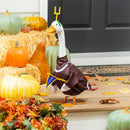 Giddy the Goose Outfit, Football Post