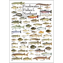 Northeast Wildlife Posters Assortment