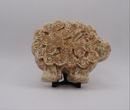 Pumpkin Spice Latte Sheep Milk Soap