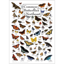 Northeast Wildlife Posters Assortment
