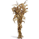 Corn Stalk Bundle