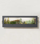 Smart Led Light Landscape Growframe