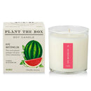 Plant the Box Candle-Ripe Watermelon