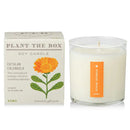 Plant the Box Candle-Catalan Calendula