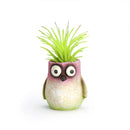 Baby Hummingbird - Mini Blobhouse Planter - Bitty
