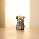 MacDuff Dog Blobhouse Planter