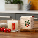 Plant the Box Candle-Wild Tomato Vine