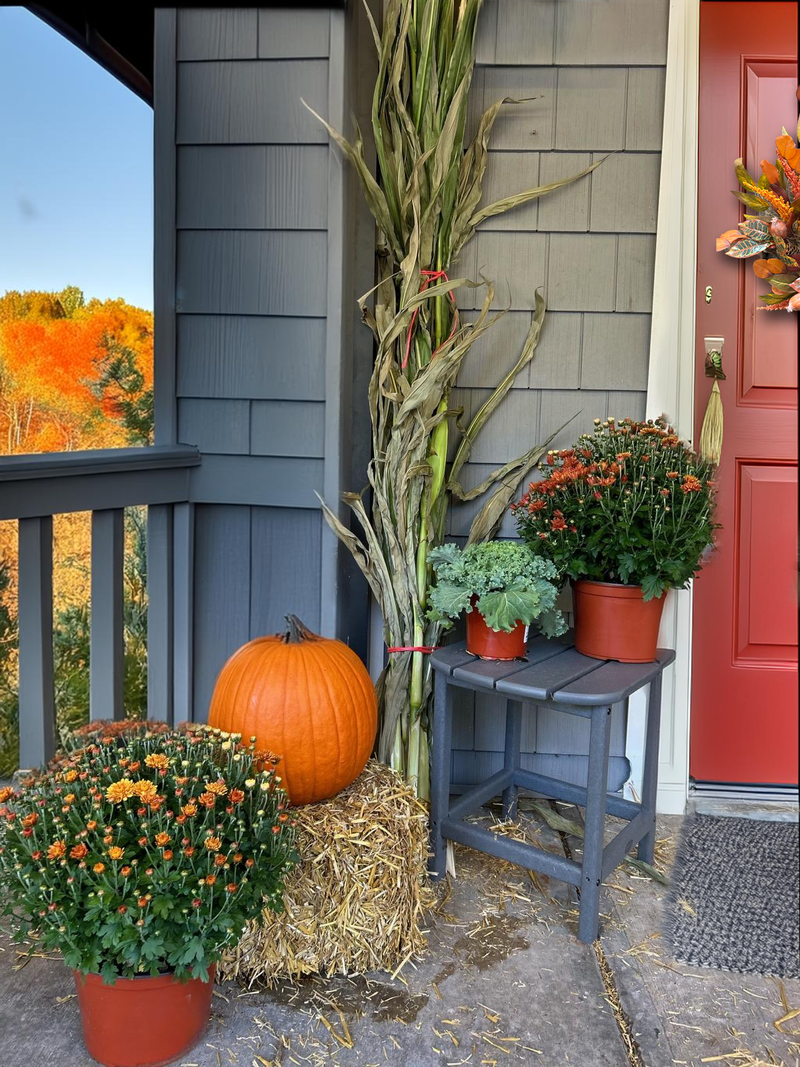 Fall Doorstop Harvest Kit