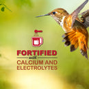 Concentrate Hummingbird Nectar