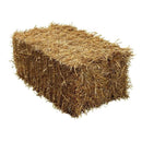 Straw