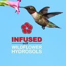Concentrate Hummingbird Nectar