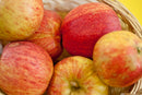 Gala Apple (Malus 'Fruit Gala') - 2 gallon 36"