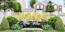 Plants That Work for a Backyard Oasis Garden (PLANTS THAT WORK BACKYARD OASIS Garden) -