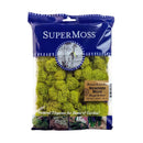 SuperMoss-Chartreuse Reindeer Moss