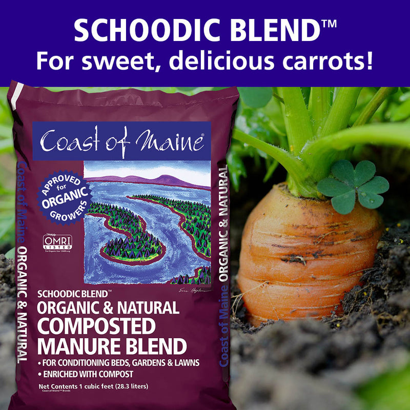 Cow Manure Compost Schoodic Blend by Coast of Maine