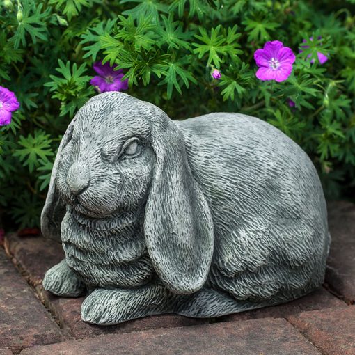 Lop-Eared Bunny