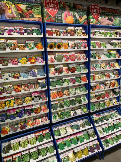 plant harts seeds Hart's Seeds starting at