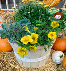 Fall Basket Planter Workshop September 19, 2026 10 AM