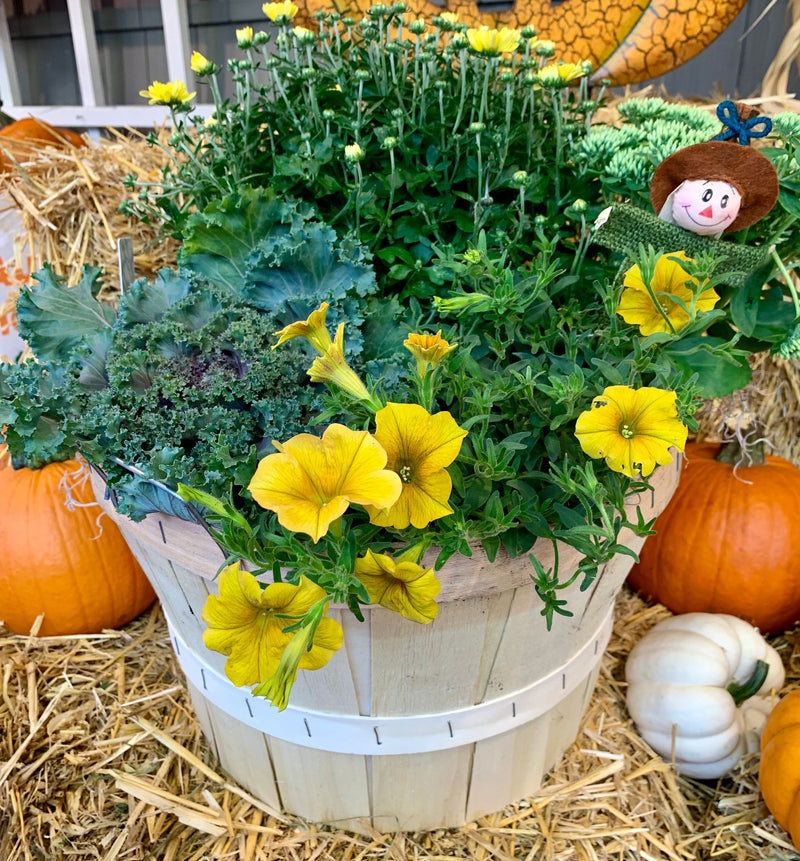 Fall Bushel Basket Planter - Half Bushel