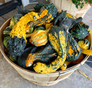 Mini Gourds (per lb.)