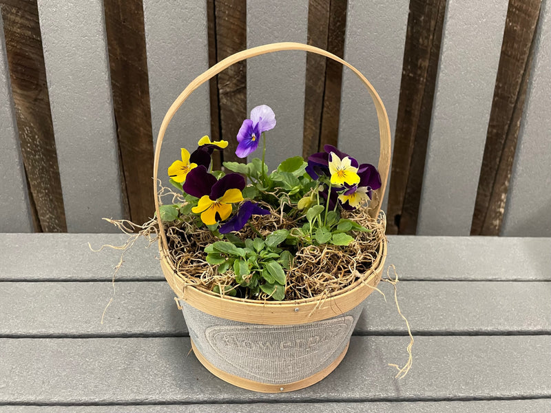 Spring Basket