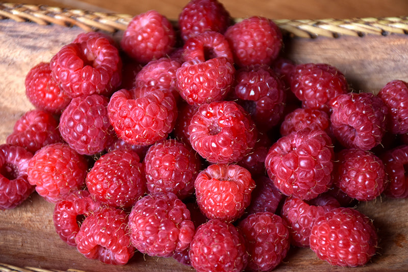 Raspberry Bushes: Heritage