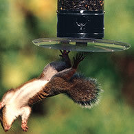 Droll Yankees Tipper Squirrel Proof Bird Feeder