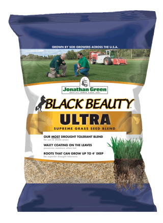 Black Beauty Ultra Grass Seed by Jonathan Green