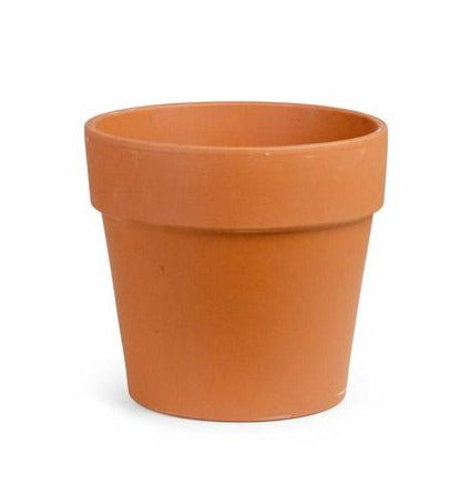 Terracotta Calima Pot