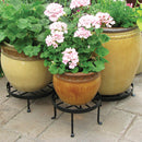 Chippendale Plant Stand