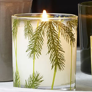 Frasier Fir Pine Needle Candle in Jar