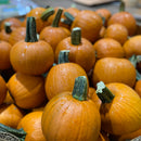 Sugar Pumpkins (each) (Pie Pumpkins)