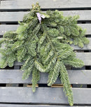 Fresh Noble Fir Greens Bunch