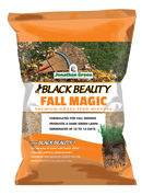 Fall Magic Grass Seed by Jonathan Green